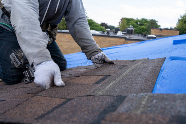 Best Roof Repair Services  in Stroville, CA