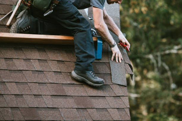 Best Roof Gutter Cleaning  in Stroville, CA